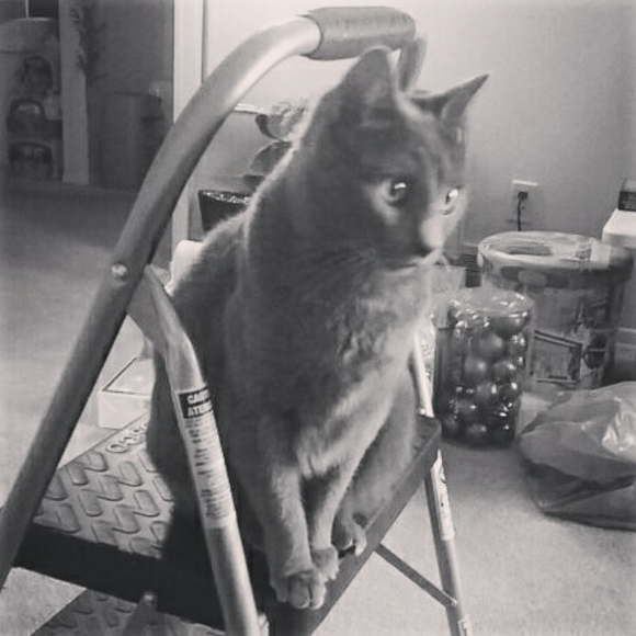 Meet your Posher, Tina - Picture 2 of 3